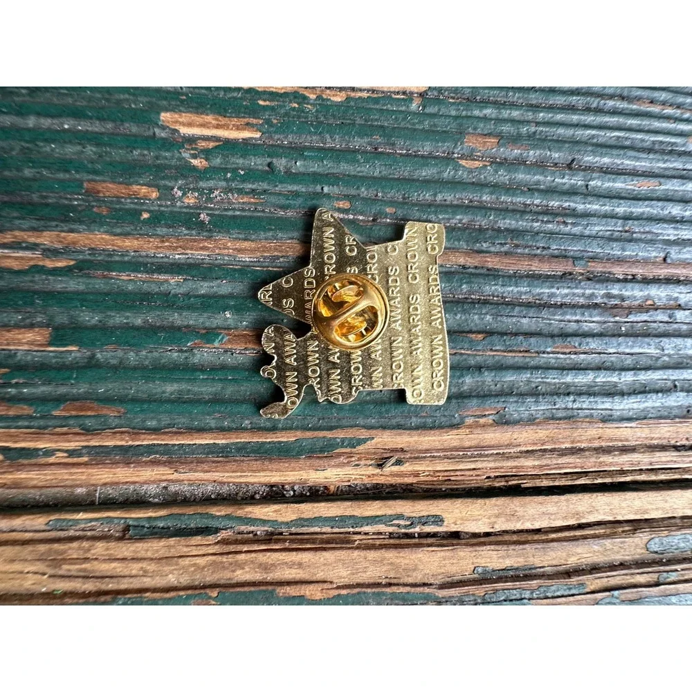 Crown Awards Excellence Pin Star Lamp of Knowledge Gold Tone Enamel Lapel Pin